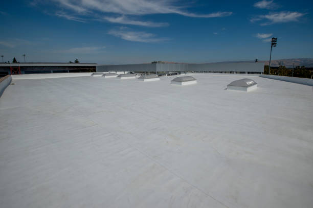 Best Steel Roofing  in Walkersville, MD