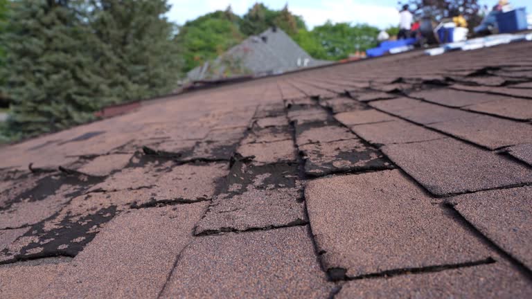 Best Commercial Roofing Services  in Walkersville, MD